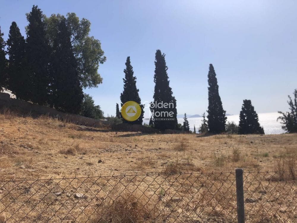 Parcel in Moni Agion Panton, Spetses — Photo 2 of 5