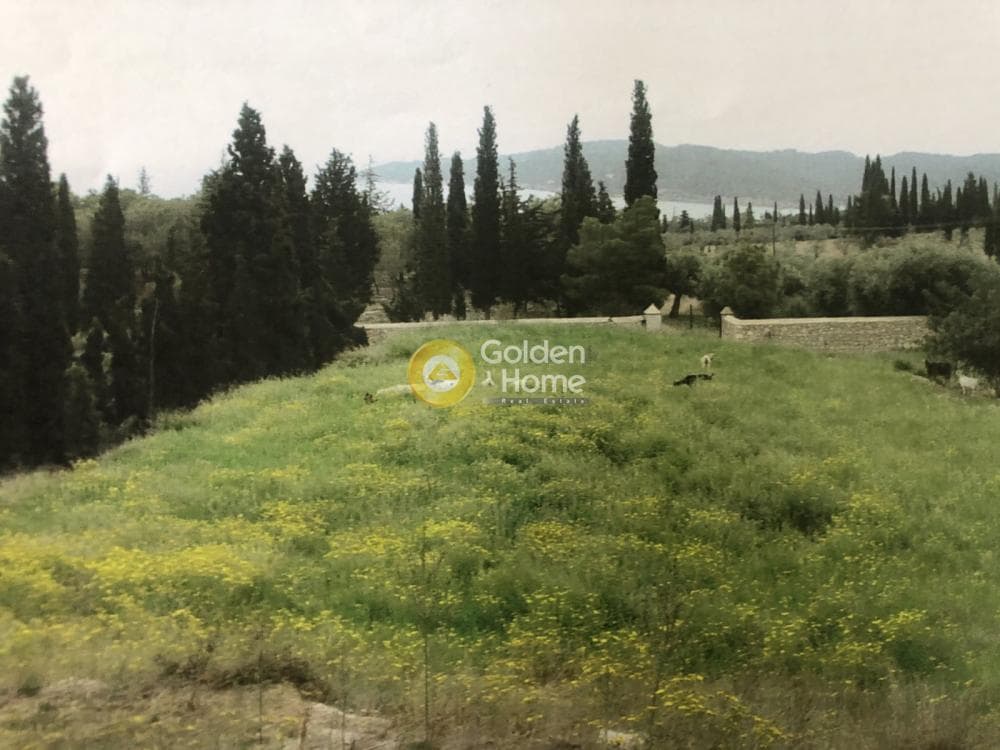 Parcel in Moni Agion Panton, Spetses — Photo 5 of 5