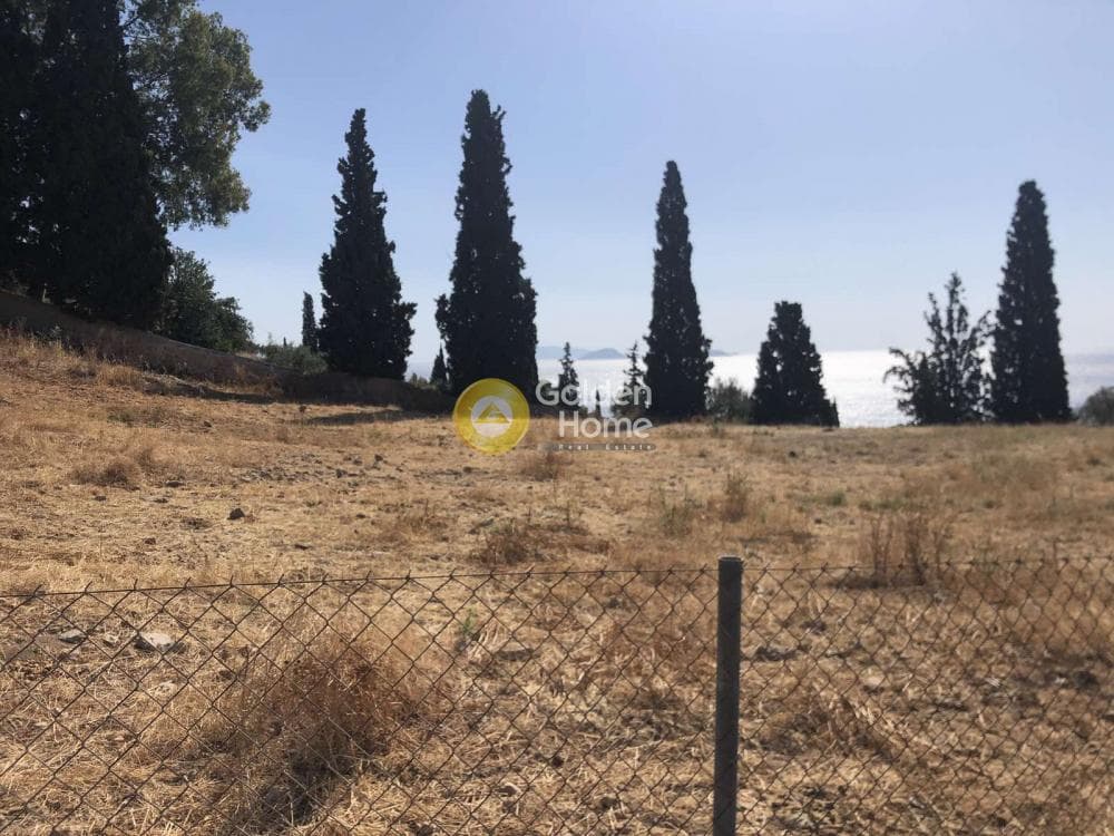 Parcel in Moni Agion Panton, Spetses — Photo 4 of 5