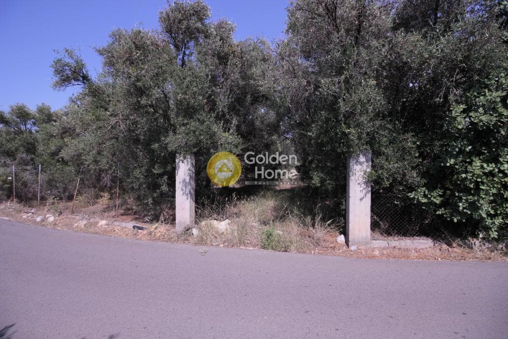 Οικόπεδο στην Μονή Αγίου Ιωάννου Θεολόγου, Γούβες — Φωτογραφία 4 από 15