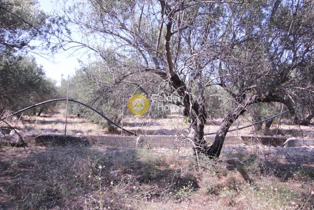 Οικόπεδο στην Μονή Αγίου Ιωάννου Θεολόγου, Γούβες — Φωτογραφία 6 από 15
