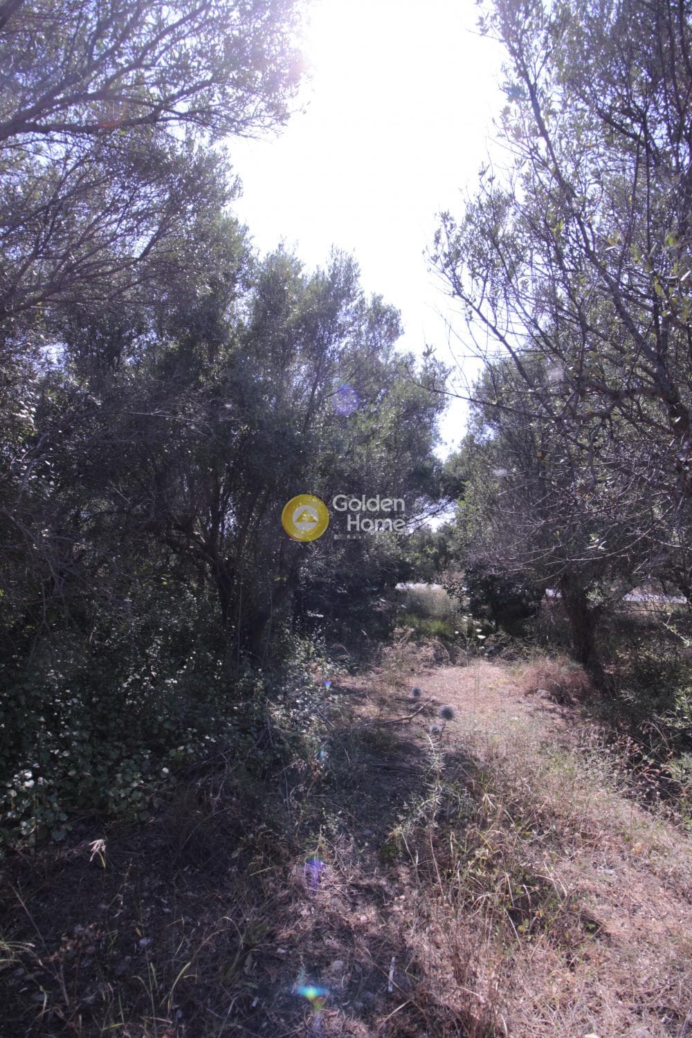 Οικόπεδο στην Μονή Αγίου Ιωάννου Θεολόγου, Γούβες — Φωτογραφία 9 από 15