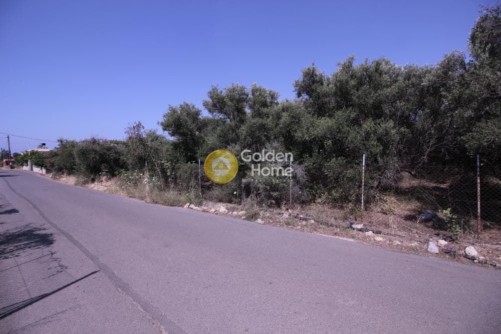 Οικόπεδο στην Μονή Αγίου Ιωάννου Θεολόγου, Γούβες — Φωτογραφία 11 από 15