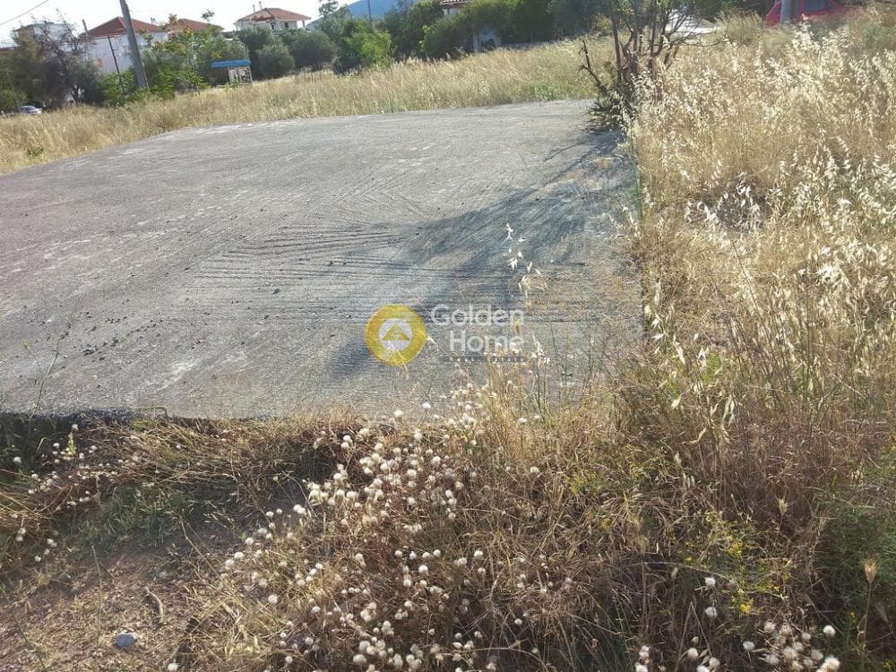 Οικόπεδο στην Μεγάλα Σχοινία Α, Αχαρνές — Φωτογραφία 2 από 5