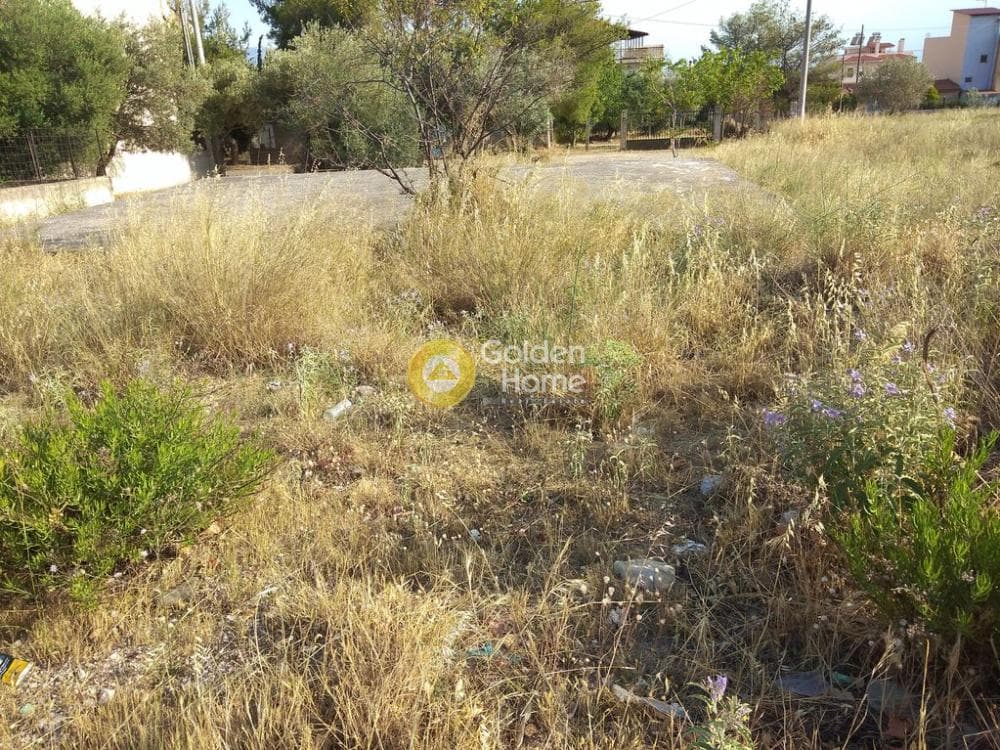 Οικόπεδο στην Μεγάλα Σχοινία Α, Αχαρνές — Φωτογραφία 5 από 5