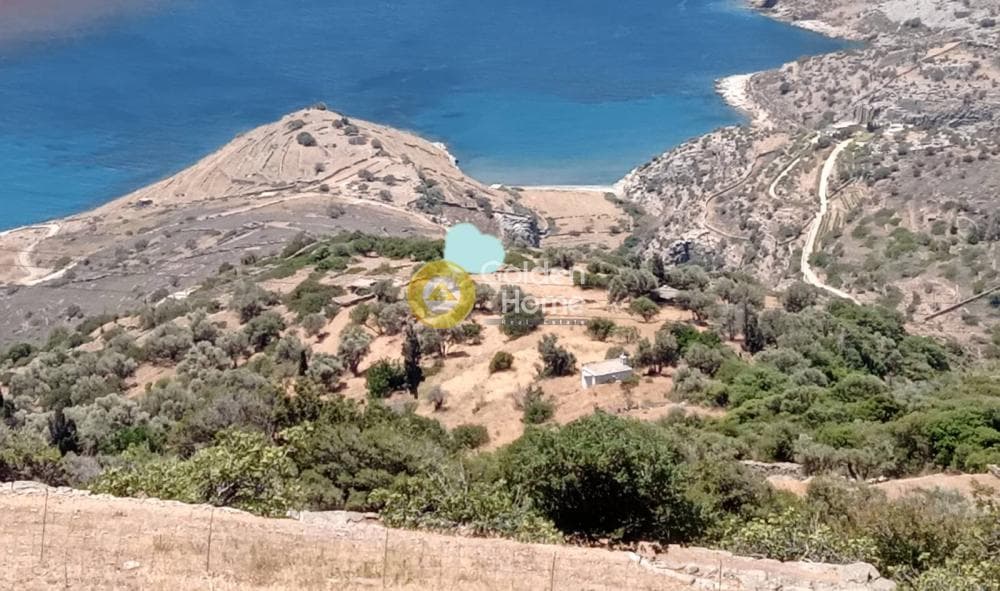 Αγροτεμάχιο στην Καπαρριά, Άνδρος — Φωτογραφία 2 από 3