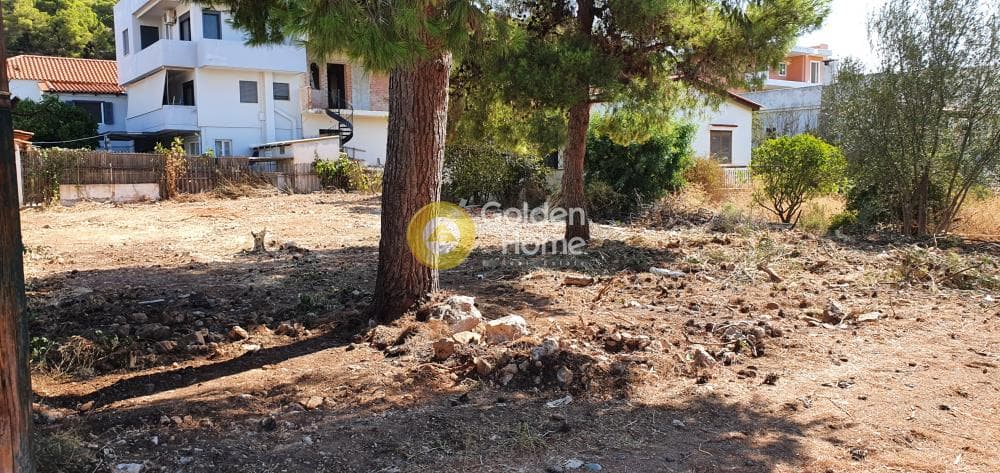Οικόπεδο στην Πόρτο Ράφτη, Βραυρώνα — Φωτογραφία 4 από 9
