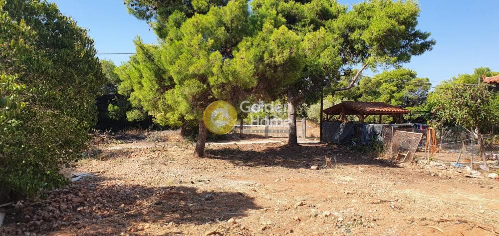 Οικόπεδο στην Πόρτο Ράφτη, Βραυρώνα — Φωτογραφία 6 από 9