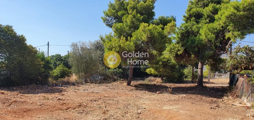 Οικόπεδο στην Πόρτο Ράφτη, Βραυρώνα — Φωτογραφία 7 από 9