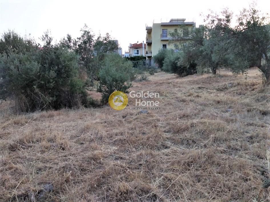 Building Plot in Megala Sxoinia A, Acharnes — Photo 2 of 10