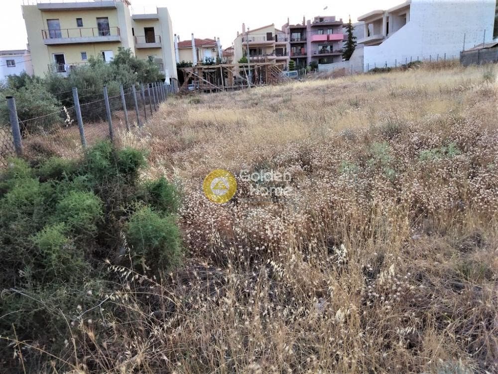 Building Plot in Megala Sxoinia A, Acharnes — Photo 10 of 10