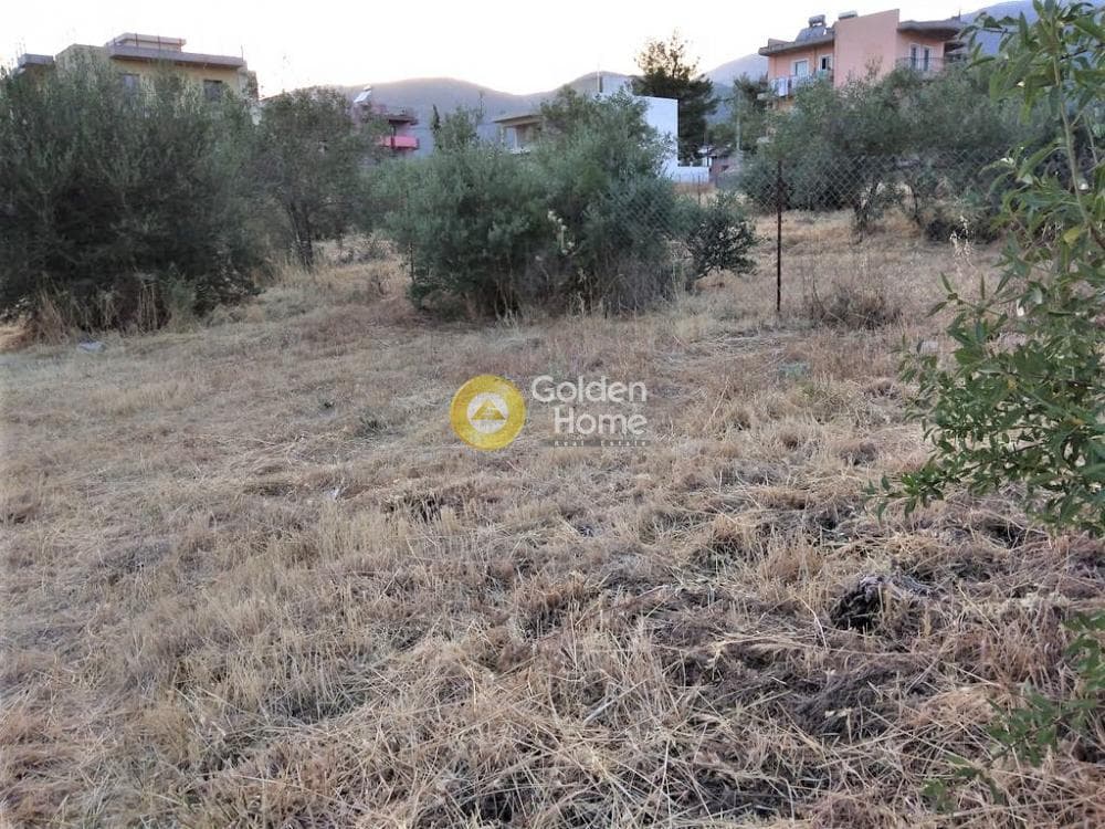 Building Plot in Megala Sxoinia A, Acharnes — Photo 5 of 10