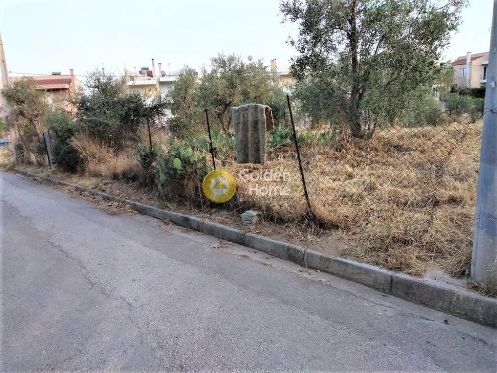 Building Plot in Megala Sxoinia A, Acharnes — Photo 3 of 10