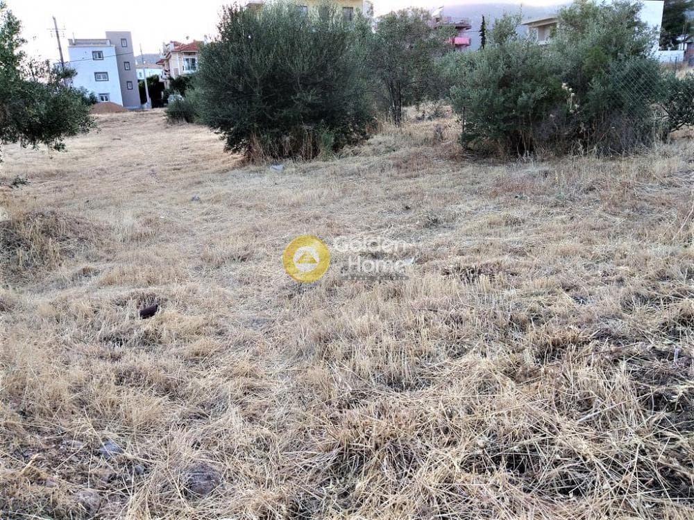 Building Plot in Megala Sxoinia A, Acharnes — Photo 6 of 10