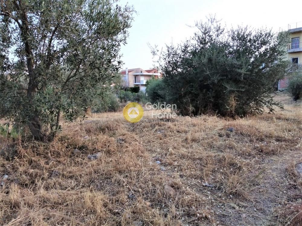 Building Plot in Megala Sxoinia A, Acharnes — Photo 8 of 10