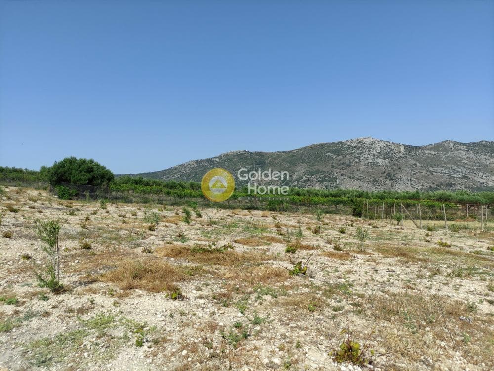 Οικόπεδο στην Κάτω Αρχάνες, Αρχάνες — Φωτογραφία 1 από 4