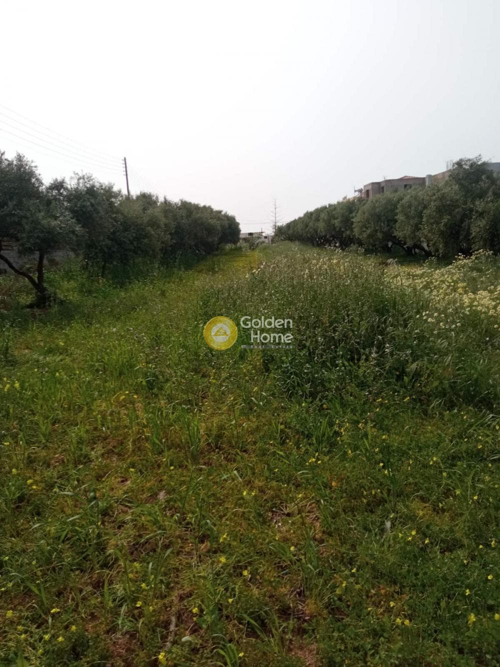 Οικόπεδο στην Κάτω Γούβες, Γούβες — Φωτογραφία 5 από 14