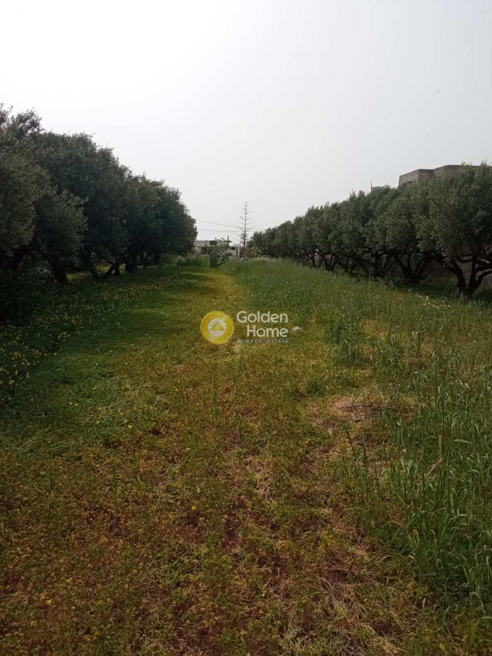 Οικόπεδο στην Κάτω Γούβες, Γούβες — Φωτογραφία 10 από 14