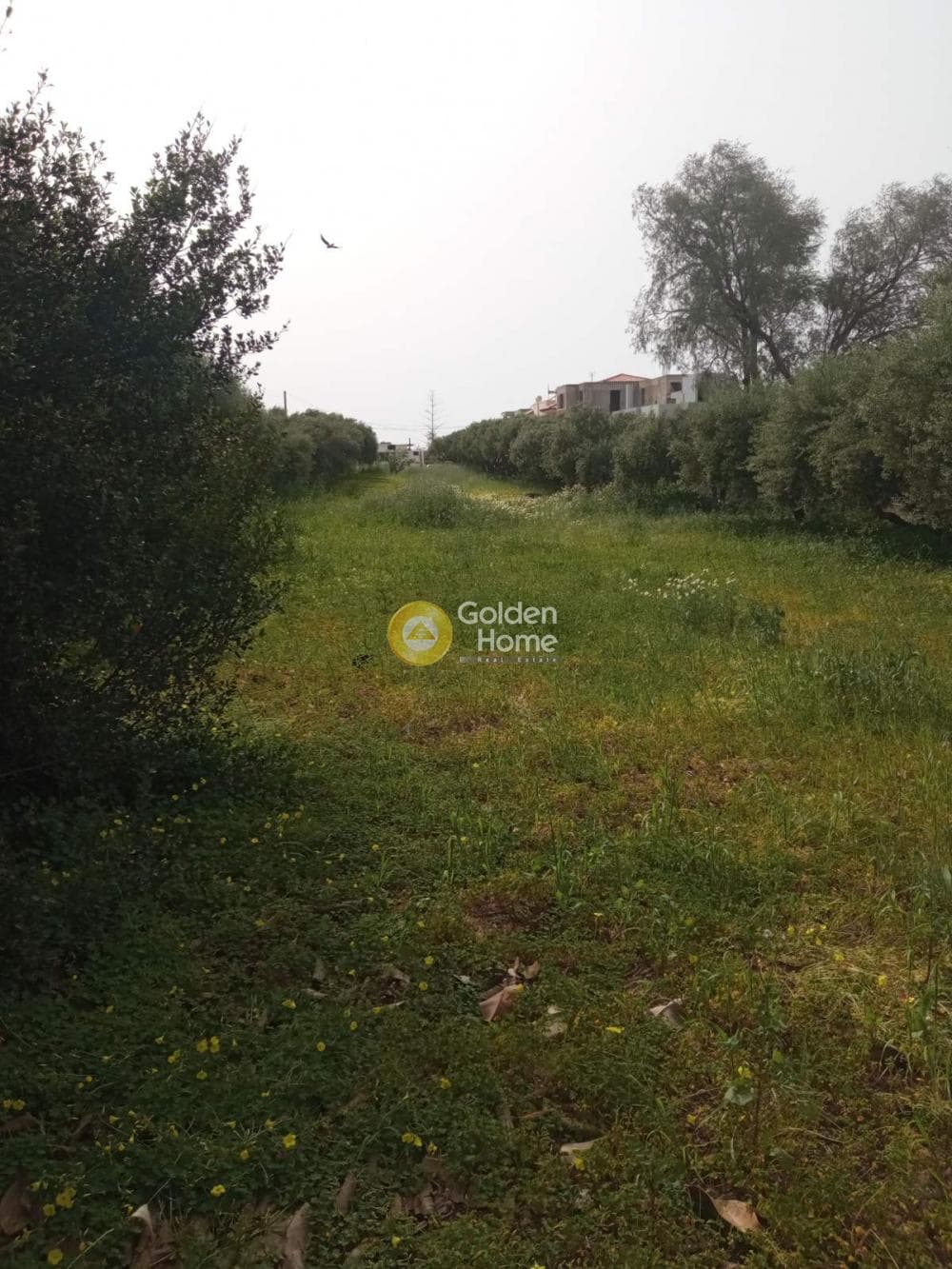 Οικόπεδο στην Κάτω Γούβες, Γούβες — Φωτογραφία 11 από 14