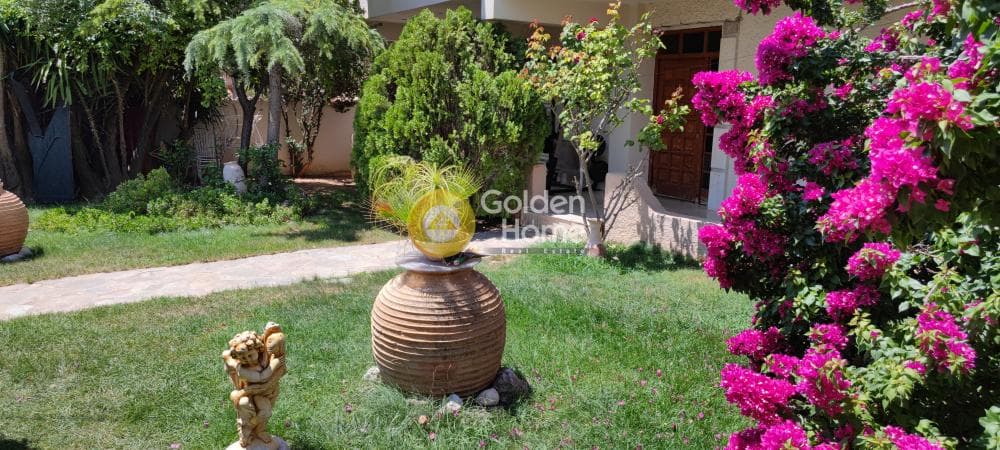 House in Megala Sxoinia A, Acharnes — Photo 10 of 40