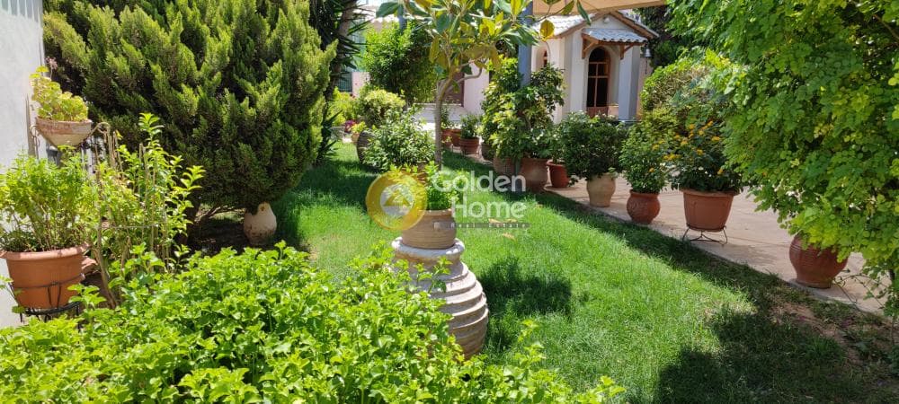 House in Megala Sxoinia A, Acharnes — Photo 17 of 40