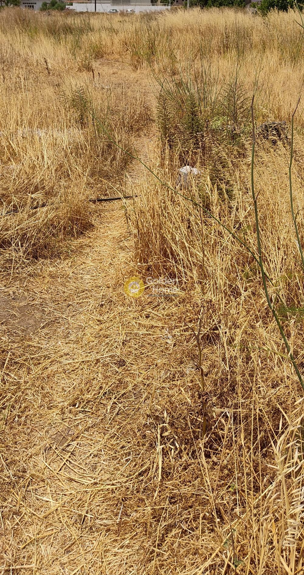 Building Plot in Archontiko, Arkalochori — Photo 3 of 4