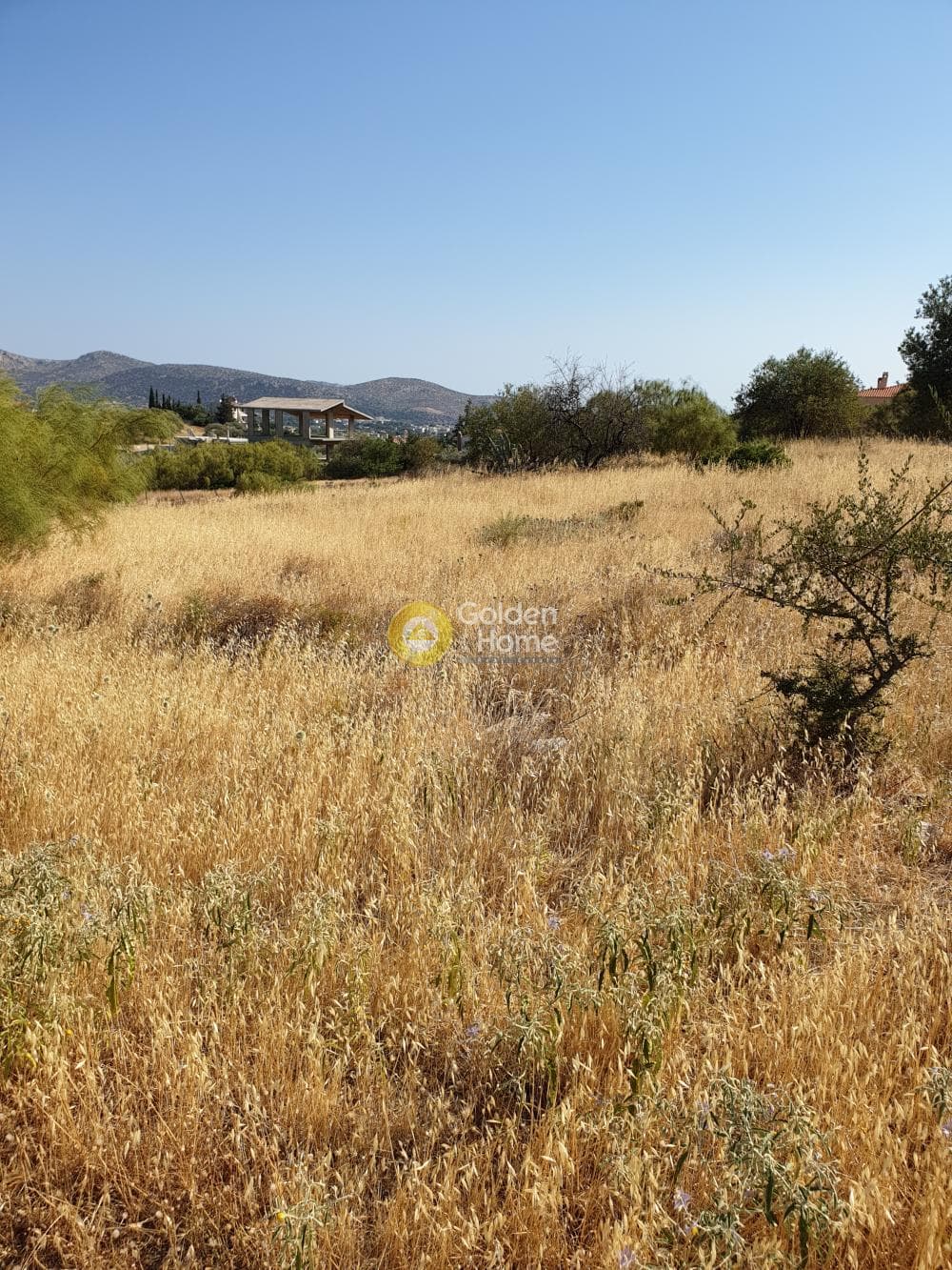 Building Plot in Agios Panteleimonas, Anavissos — Photo 5 of 6