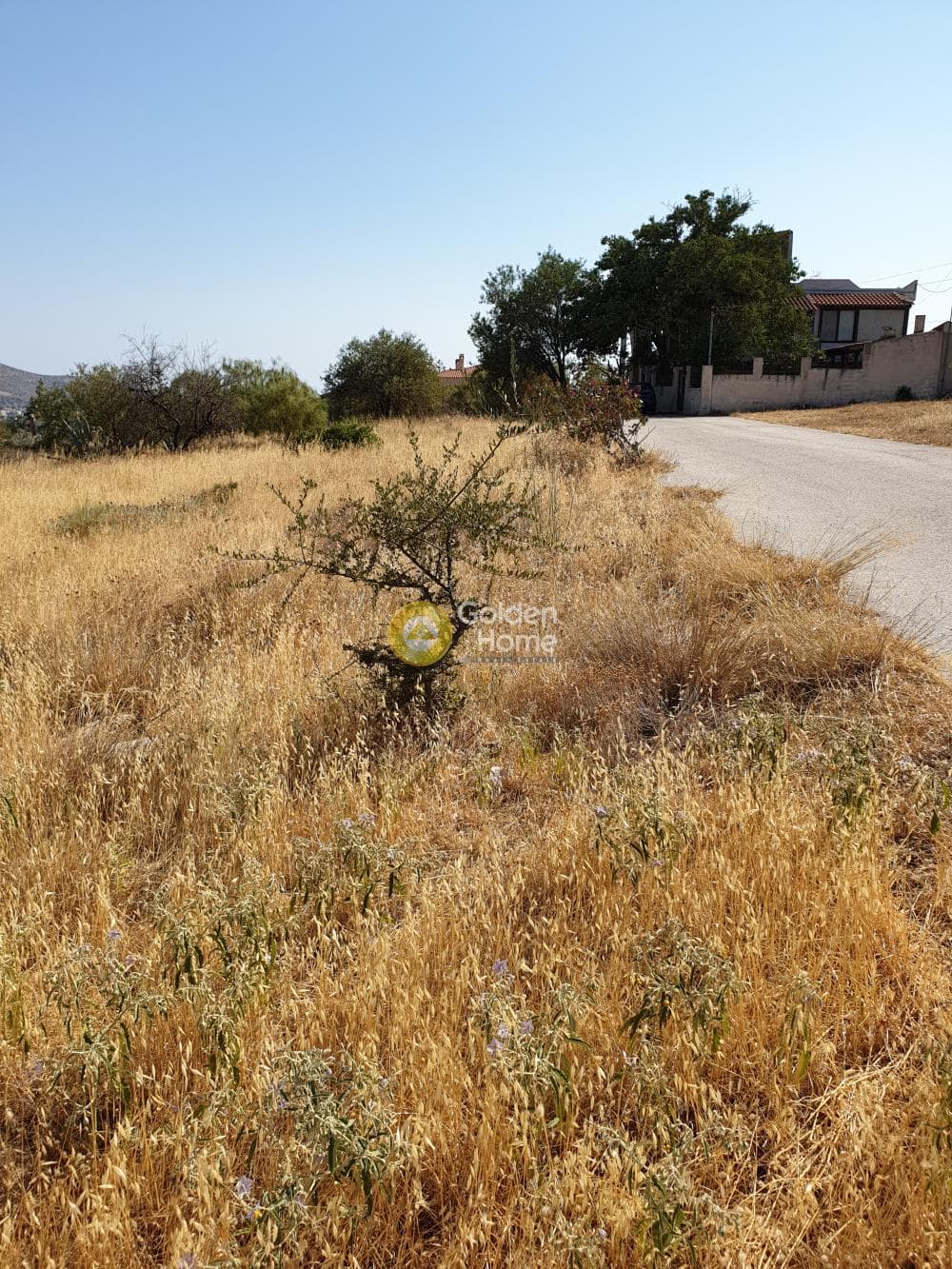 Building Plot in Agios Panteleimonas, Anavissos — Photo 6 of 6