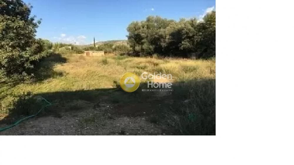 Οικόπεδο στην Επταπύργιο, Συκιές