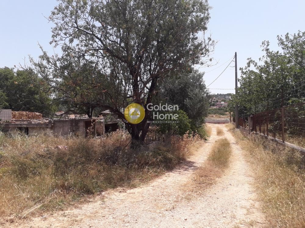 Building Plot in Lamprika, Koropi — Photo 1 of 8