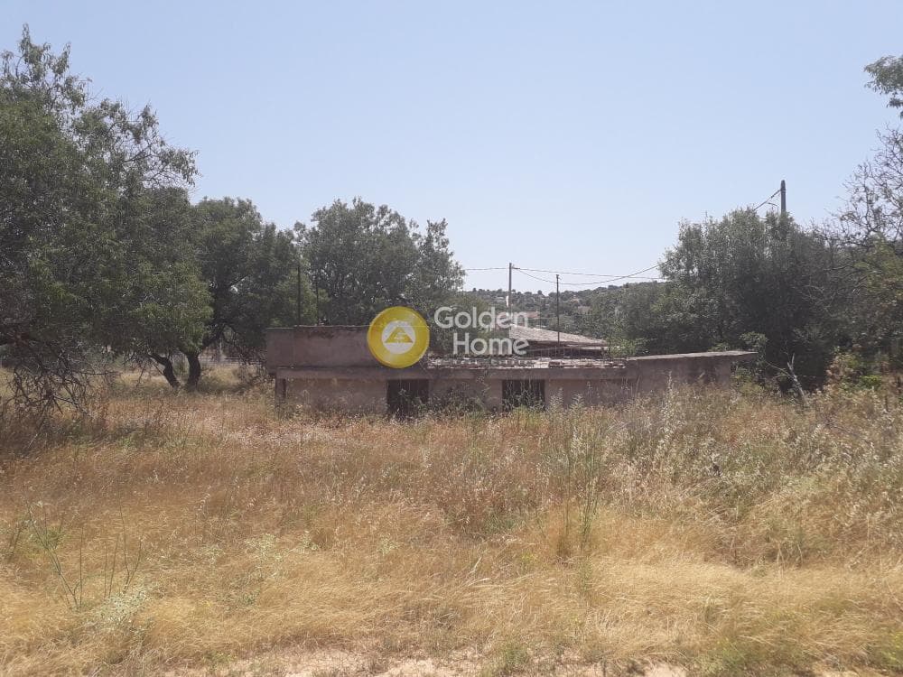 Building Plot in Lamprika, Koropi — Photo 2 of 8