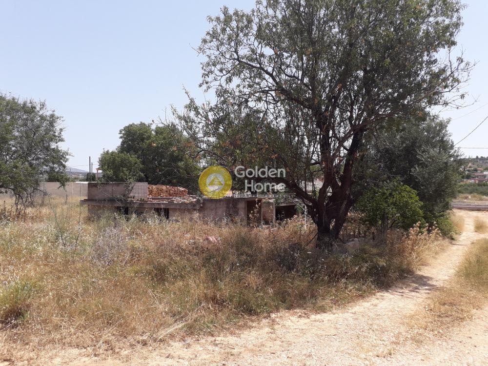 Building Plot in Lamprika, Koropi — Photo 6 of 8