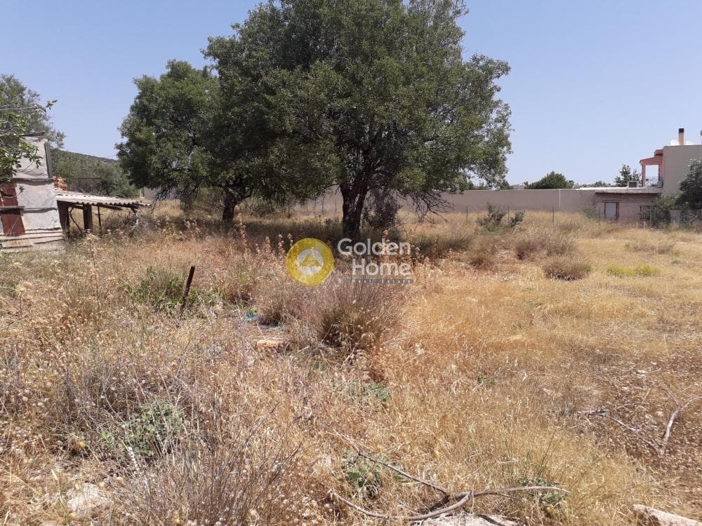 Building Plot in Lamprika, Koropi — Photo 7 of 8