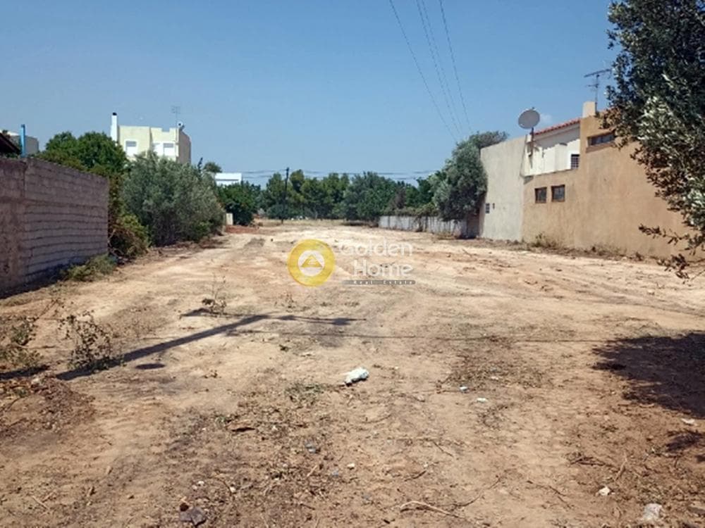 Οικόπεδο στην Άγιος Σεραφείμ, Αρτέμιδα (Λούτσα) — Φωτογραφία 1 από 2