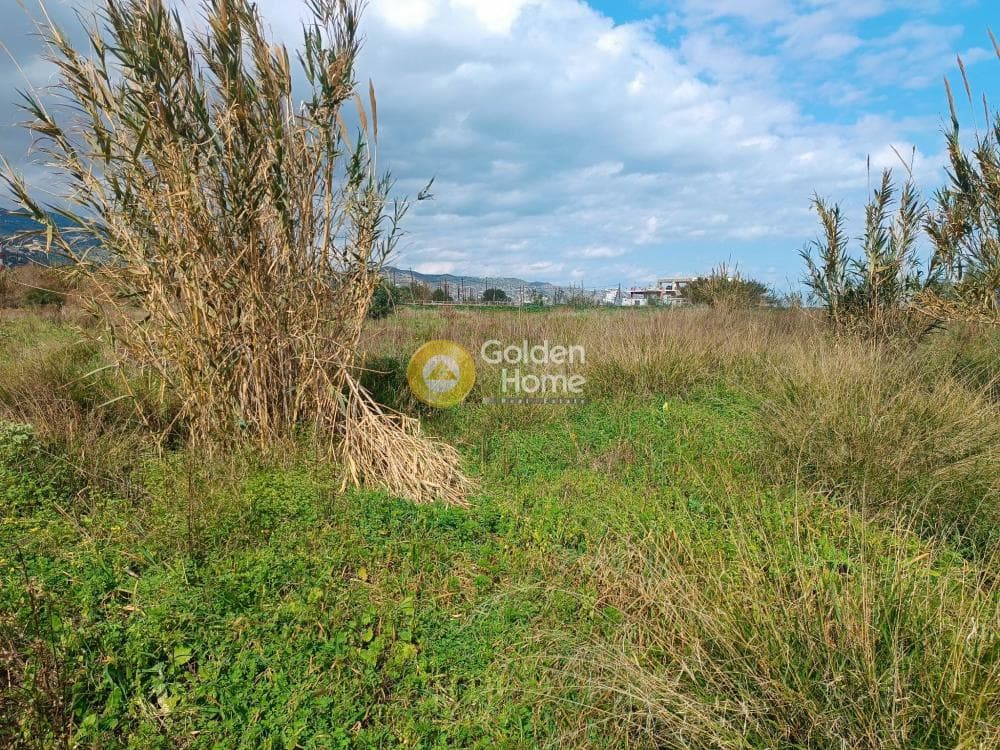 Parcel in Skafidaras, Gazi — Photo 3 of 3