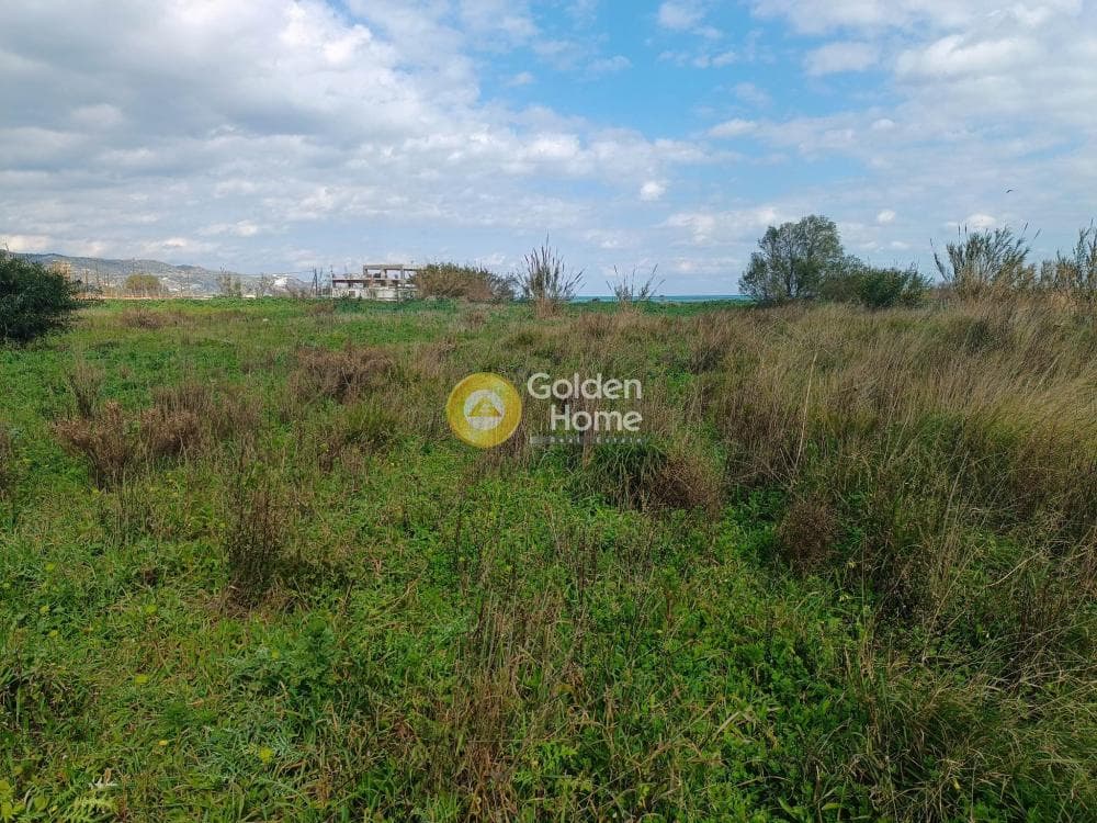 Parcel in Skafidaras, Gazi — Photo 1 of 3