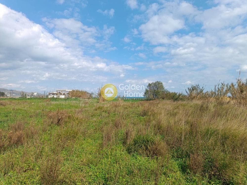 Parcel in Skafidaras, Gazi — Photo 2 of 3
