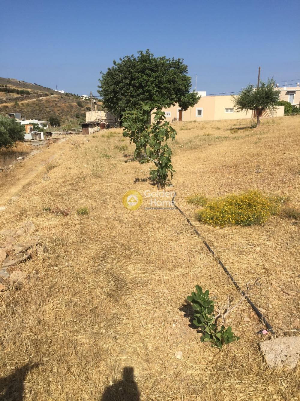 Οικόπεδο στην Ποσειδωνία, Σύρος — Φωτογραφία 4 από 9