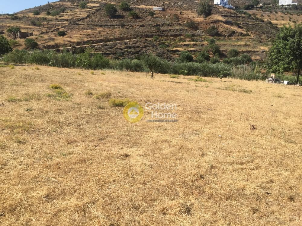 Οικόπεδο στην Ποσειδωνία, Σύρος — Φωτογραφία 8 από 9