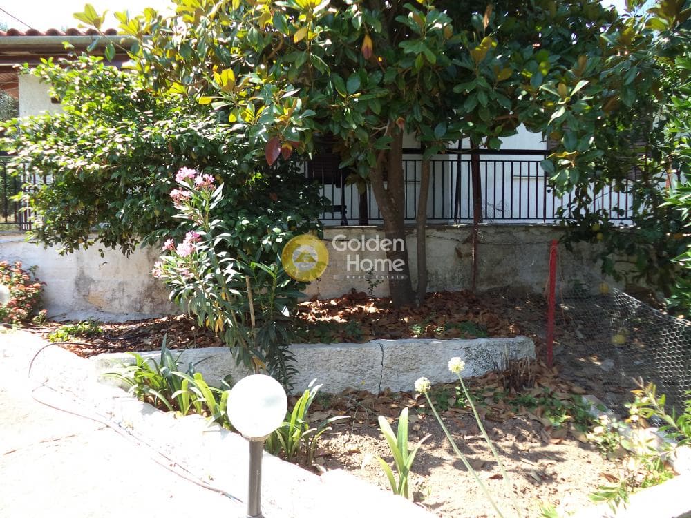 House in Kouloura, Aigio — Photo 10 of 10