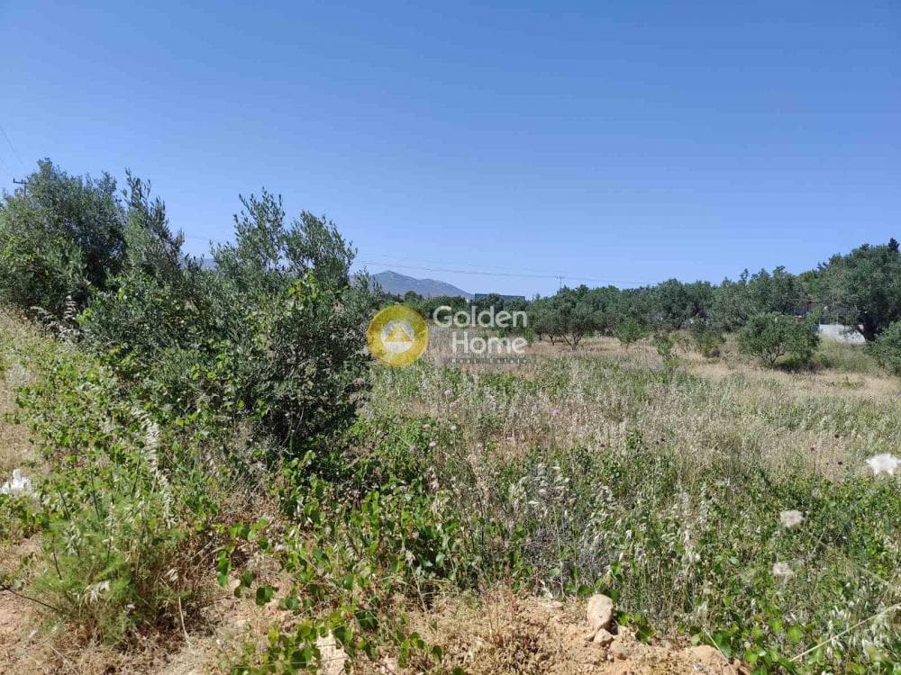 Parcel in Neapoli, Spata — Photo 1 of 2