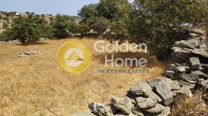 Αγροτεμάχιο στην Πήσσες, Κέα — Φωτογραφία 4 από 7