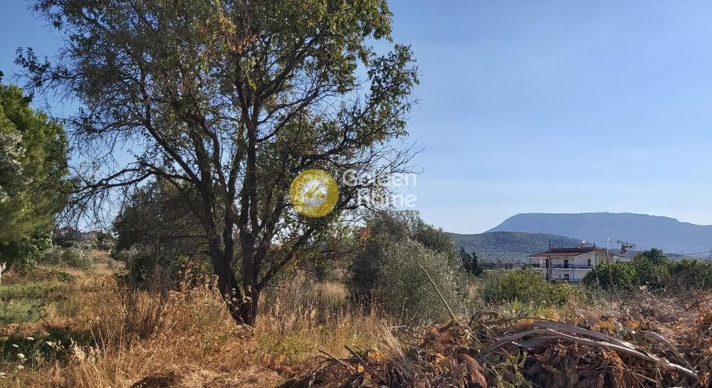 Parcel in Neapoli, Spata