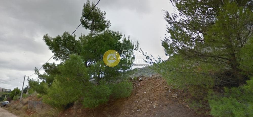 Οικόπεδο στην Δασαμάρι, Πικέρμι