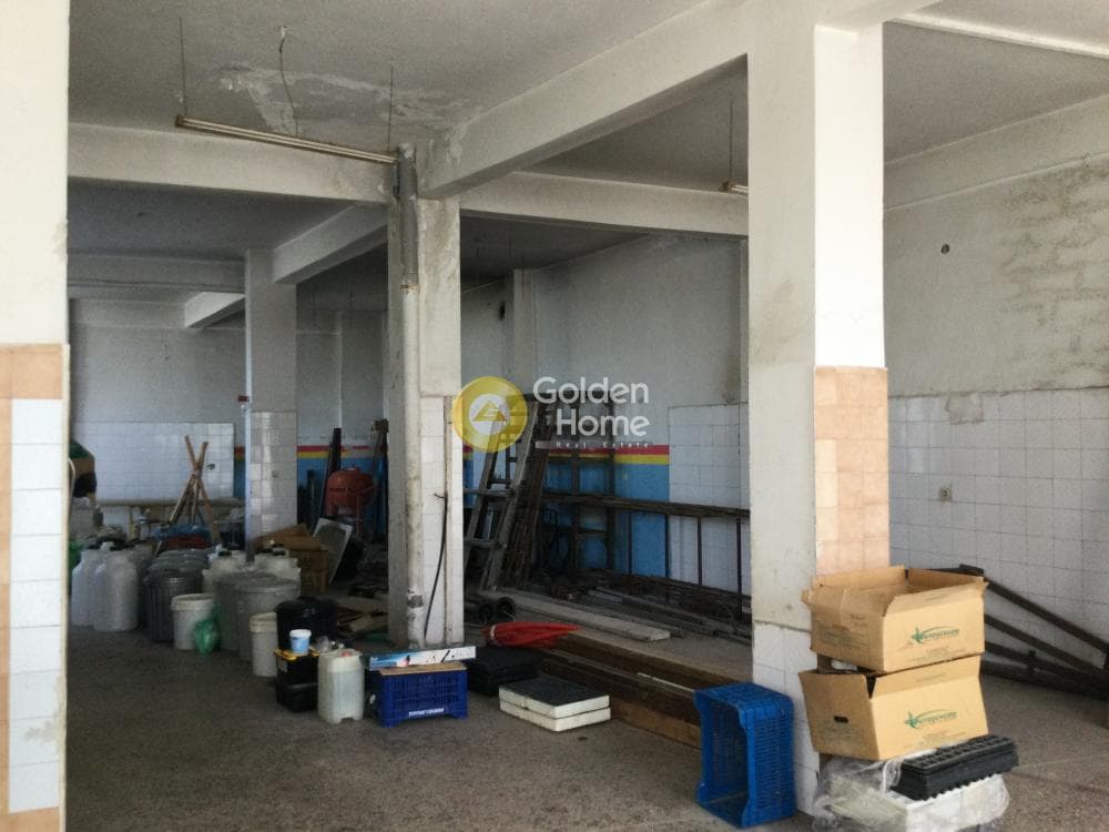 Retail Store in Oikismos Makedonia, Efkarpia — Photo 13 of 14
