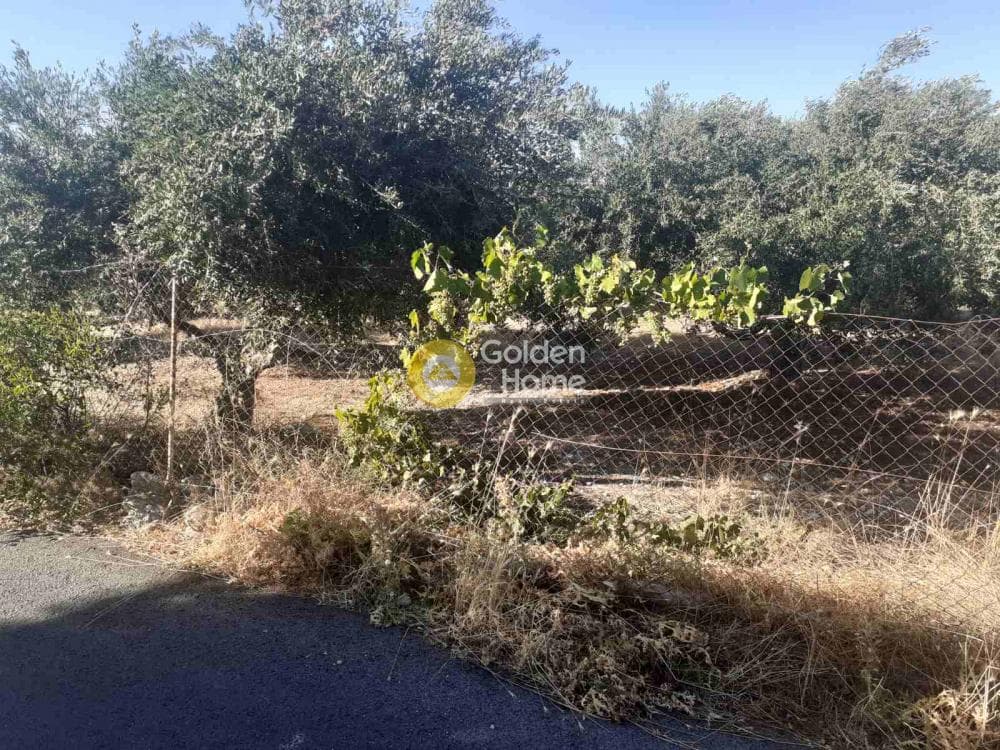 Οικόπεδο στην Επάνω Αρχάνες, Αρχάνες — Φωτογραφία 3 από 4