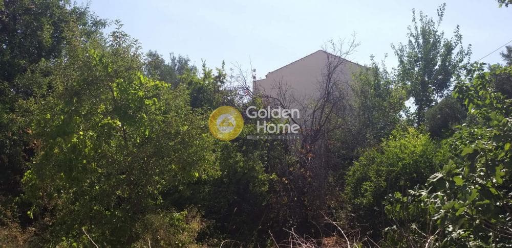 Building Plot in Mpalana, Gerakas — Photo 2 of 5