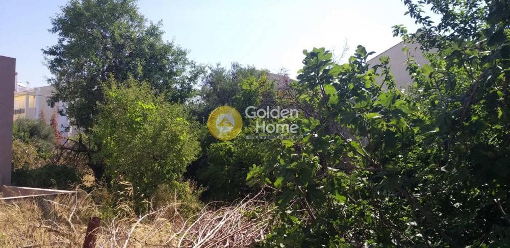 Building Plot in Mpalana, Gerakas — Photo 3 of 5