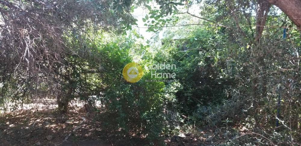 Building Plot in Mpalana, Gerakas — Photo 4 of 5