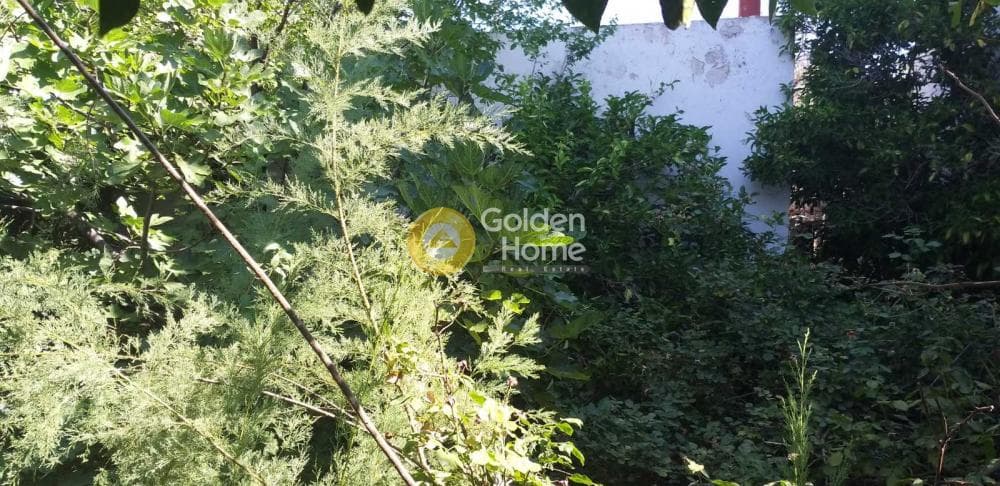 Building Plot in Mpalana, Gerakas — Photo 5 of 5